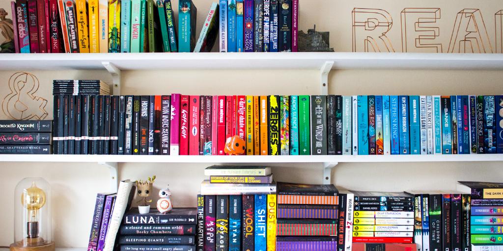 image shows colourful bookshelf